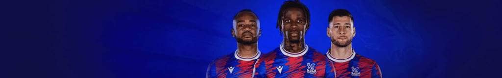 large print sudoku free
